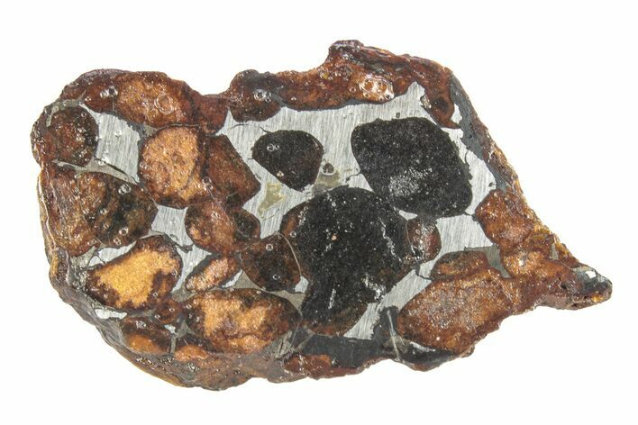 Polished Sericho Pallasite Meteorite ( g) - Kenya #246867